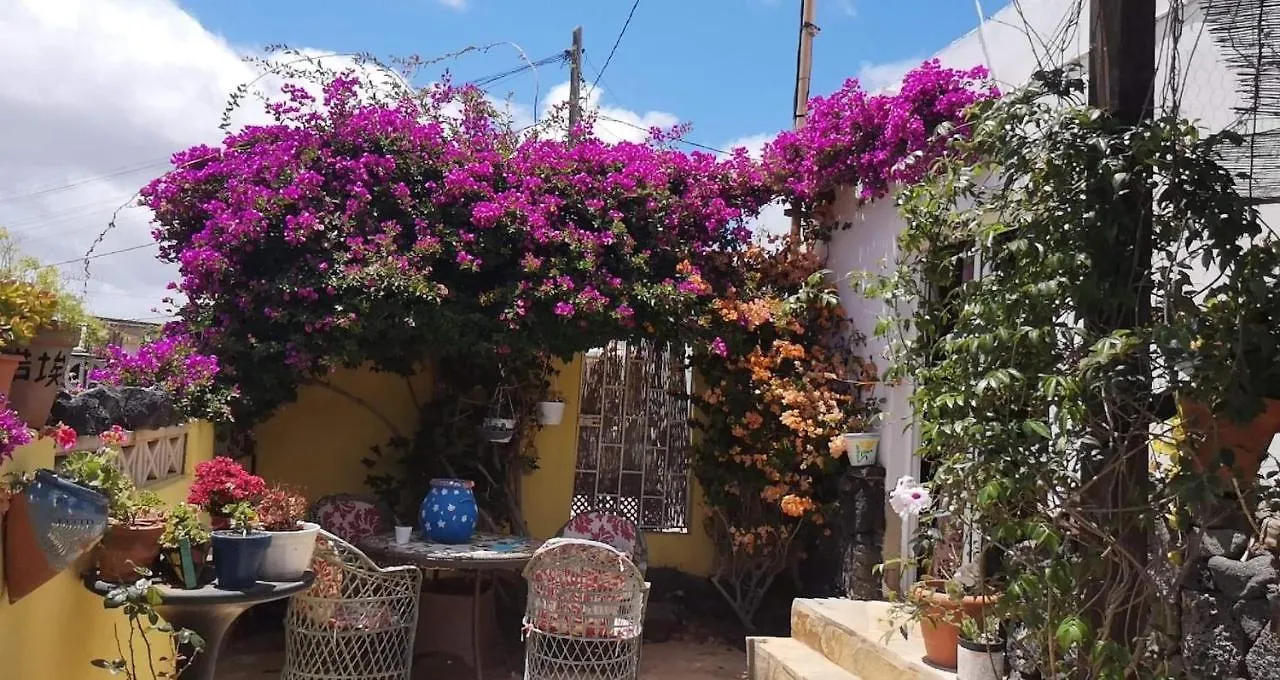 Casa De Gato Rustic Finca Tahiche Hébergement de vacances