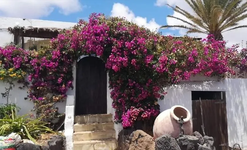 Casa De Gato Rustic Finca Tahiche