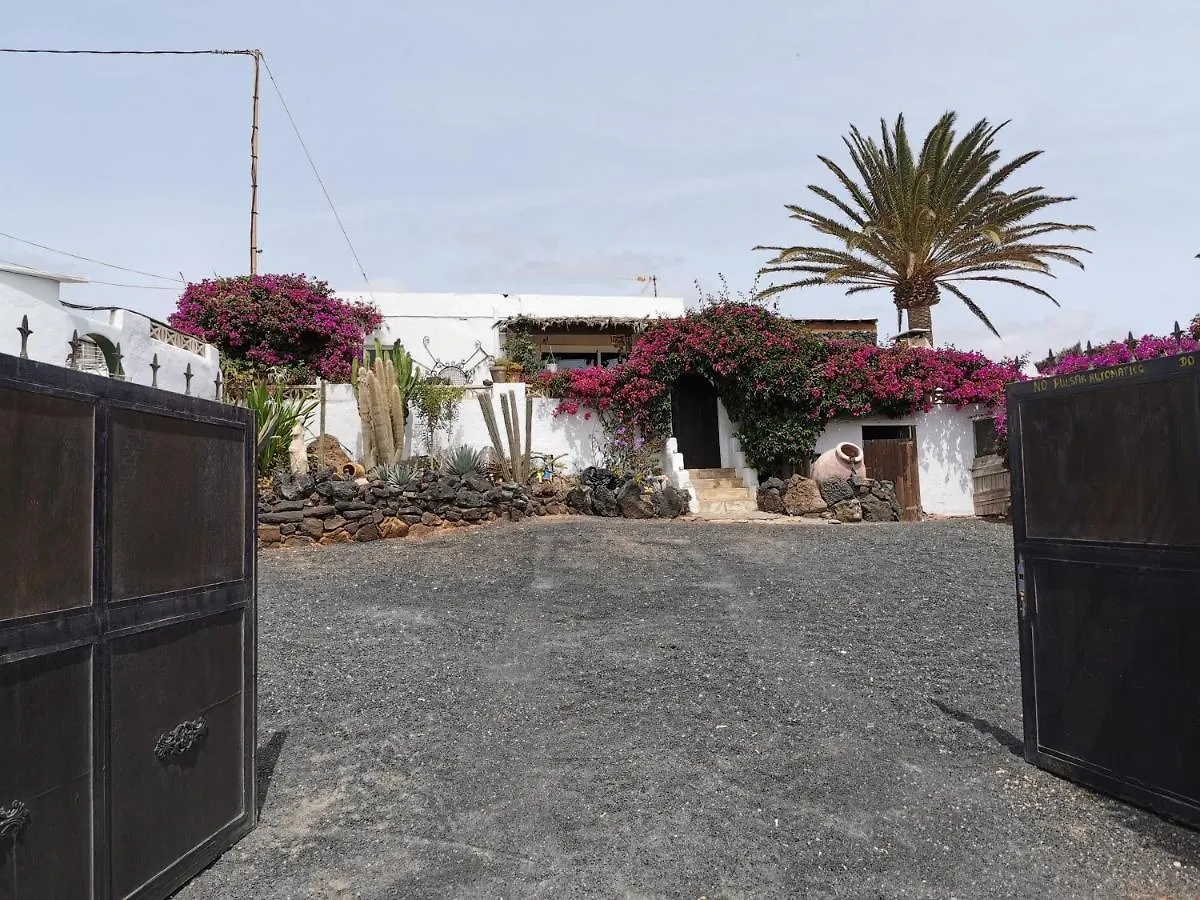 Casa De Gato Rustic Finca Tahiche Hébergement de vacances